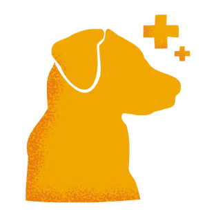 Tell us about your dog